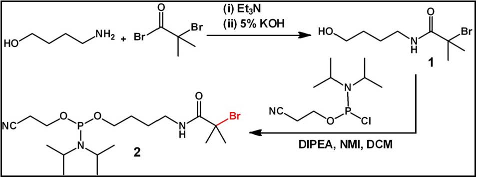 DNA-ATRP initiator